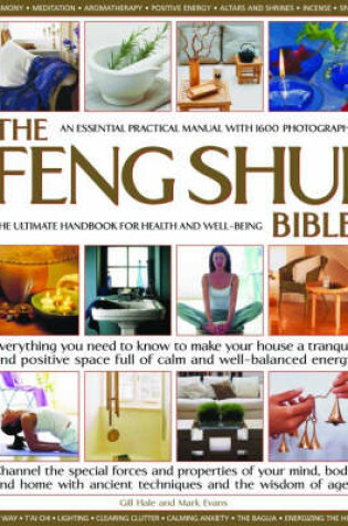 Cover of Feng Shui Bible