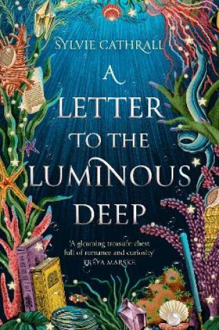 Cover of A Letter to the Luminous Deep