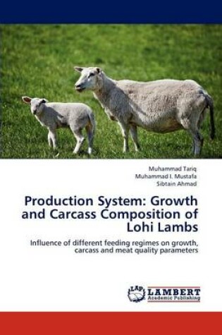 Cover of Production System