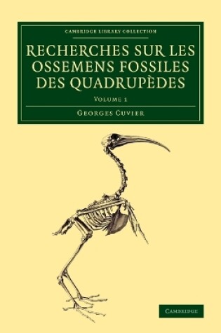 Cover of Recherches sur les ossemens fossiles des quadrupèdes