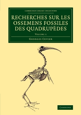 Book cover for Recherches sur les ossemens fossiles des quadrupèdes