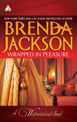 Book cover for Wrapped in Pleasure