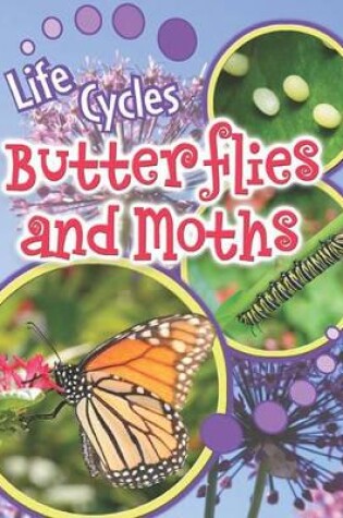 Cover of Butterflies and Moths