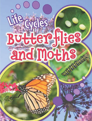 Cover of Butterflies and Moths