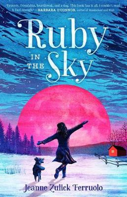 Book cover for Ruby in the Sky