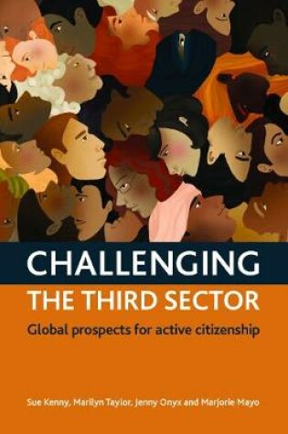 Cover of Challenging The Third Sector