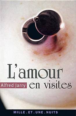 Book cover for L'Amour En Visites