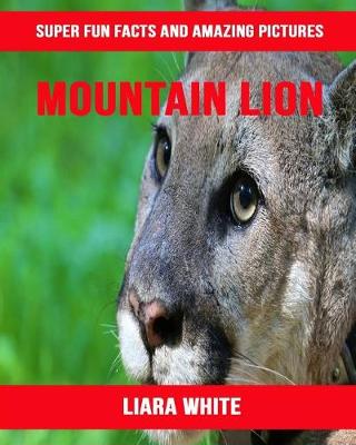 Book cover for Mountain Lion