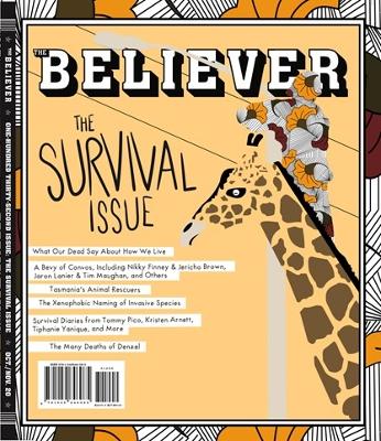 Cover of The Believer, Issue 132