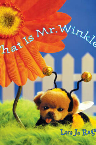Cover of What Is Mr Winkle?