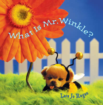 Cover of What Is Mr Winkle?