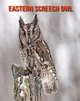 Book cover for Eastern Screech Owl