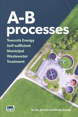 Book cover for A-B processes