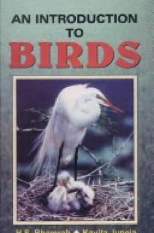 Cover of An Introduction to Birds