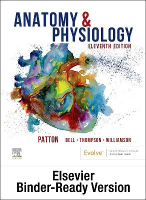 Book cover for Anatomy & Physiology - Binder-Ready (includes A&P Online course)