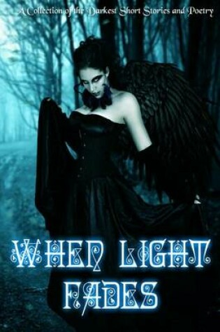 Cover of When Light Fades