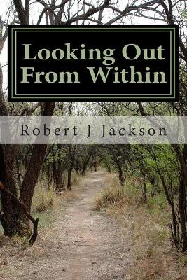 Book cover for Looking Out From Within