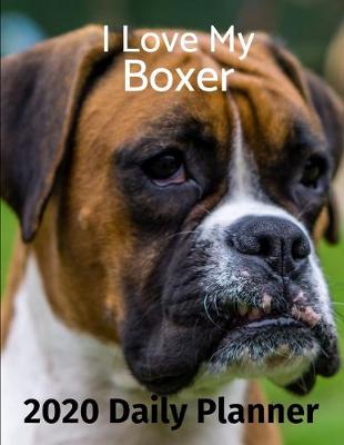 Book cover for I Love My Boxer