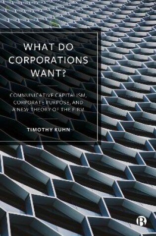 Cover of What Do Corporations Want?