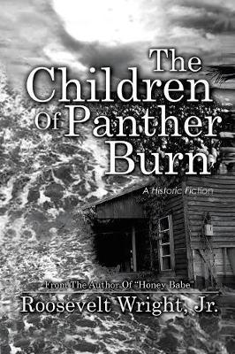 Book cover for The Children of Panther Burn