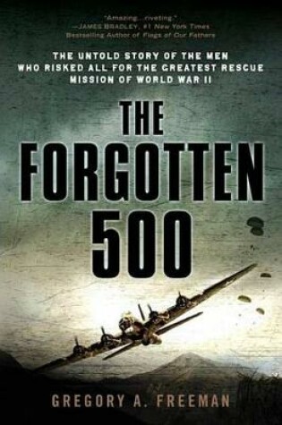 Cover of The Forgotten 500