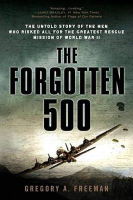 Book cover for The Forgotten 500