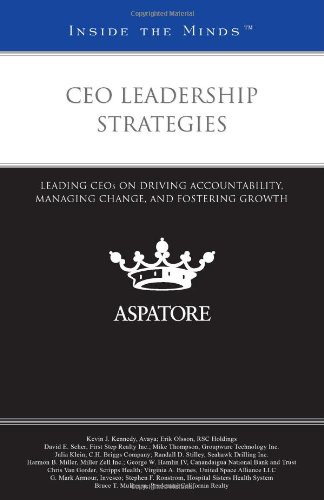 Book cover for CEO Leadership Strategies