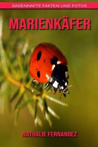 Cover of Marienkäfer