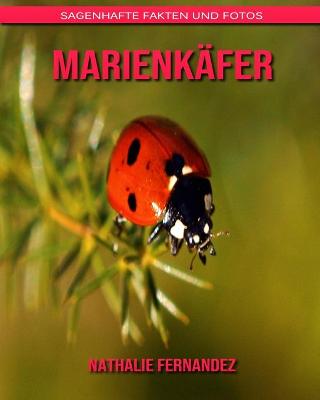 Book cover for Marienkäfer