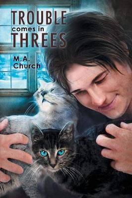 Book cover for Trouble Comes in Threes