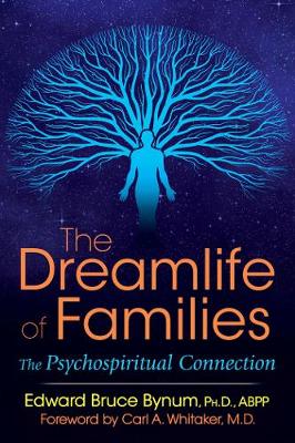 Book cover for The Dreamlife of Families