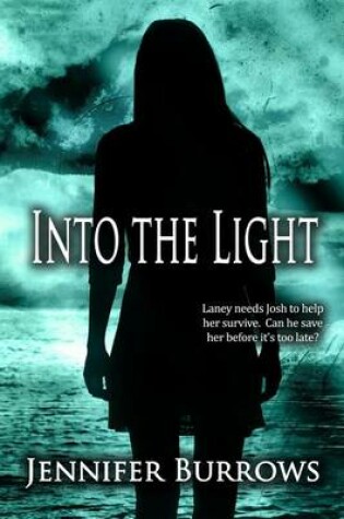 Cover of Into the Light