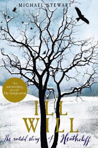 Cover of Ill Will