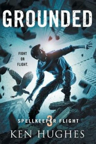 Cover of Grounded