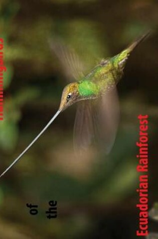 Cover of Hummingbirds of the Ecuadorian Rainforest