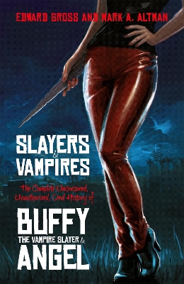Book cover for Slayers and Vampires