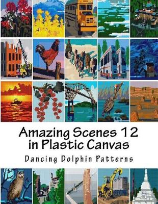 Book cover for Amazing Scenes 12