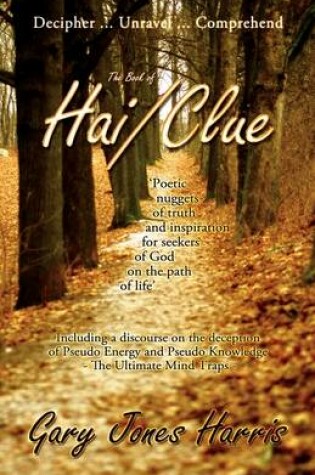 Cover of The Book of Hai/Clue