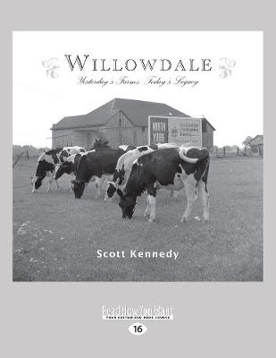 Book cover for Willowdale