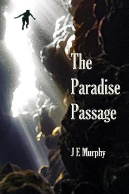 Book cover for The Paradise Passage