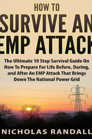 Cover of How To Survive An EMP Attack