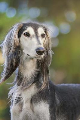 Book cover for The Saluki Dog Journal