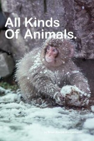 Cover of All Kinds Of Animals