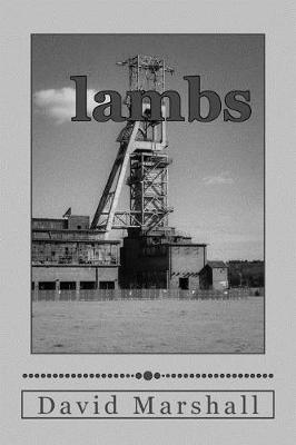 Book cover for Lambs