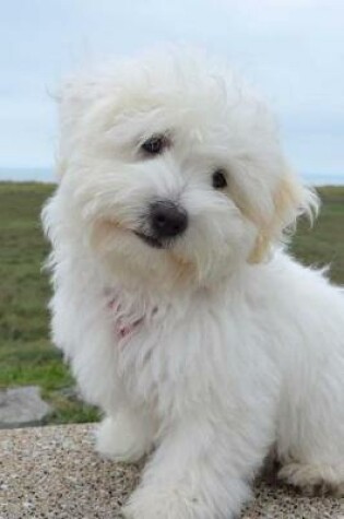 Cover of Cute White Coton De Tulear Puppy Journal