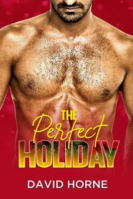 Book cover for The Perfect Holiday