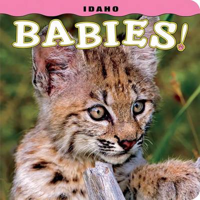 Book cover for Idaho Babies!