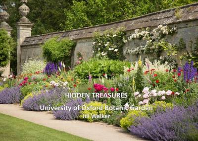 Book cover for Hidden Treasures