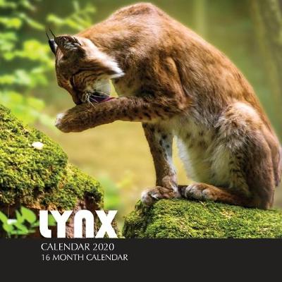 Book cover for Lynx Calendar 2020