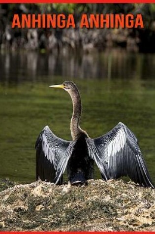 Cover of Anhinga anhinga